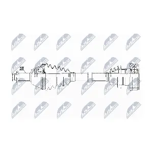NTY NPW-VW-099