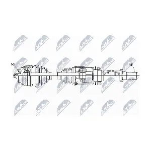 NPW-BM-167 NTY