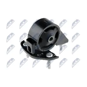 ZPS-TY-009 NTY