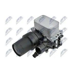 CCL-NS-008 NTY