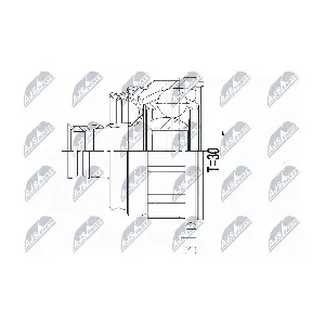 NPW-MS-056 NTY