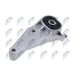 ZPS-PL-091 NTY
