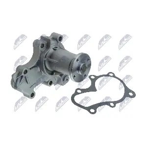 NTY CPW-MS-037