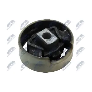 NTY ZPS-AU-021