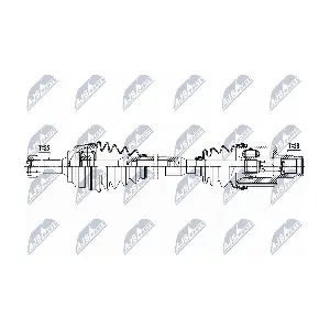 NPW-PE-043 NTY