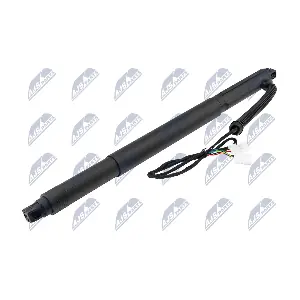AE-BM-077 NTY