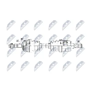 NPW-PL-163 NTY