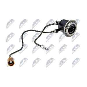 NWS-LR-001 NTY