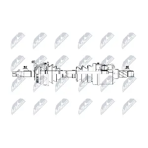 NTY NPW-VV-151
