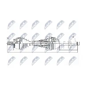 NPW-VV-048 NTY