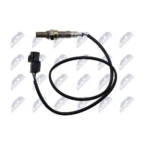 ESL-MS-012 NTY