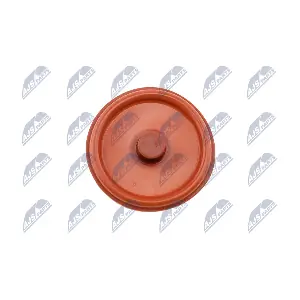 BPZ-PL-005 NTY