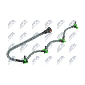 BPP-FR-017 NTY