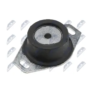 NTY ZPS-PE-009