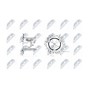 NPW-AU-003 NTY