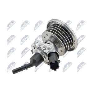 BWP-LR-001 NTY