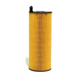 CH10197ECO Fram-Au