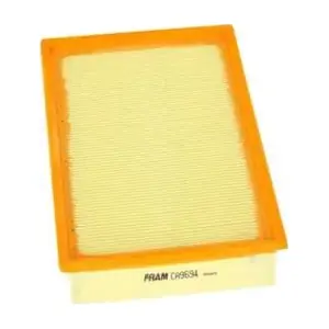 Fram-Au CA9694