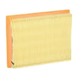 Fram-Au CA5496