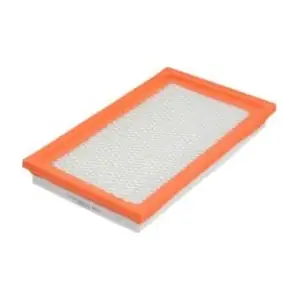 Fram-Au CA4309