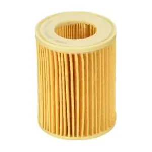 CH11461ECO Fram-Au