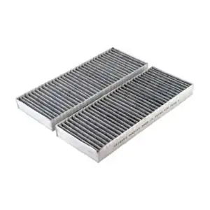 CF10553 Fram-Au