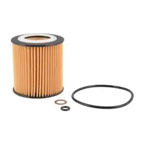 CH10075ECO Fram-Au