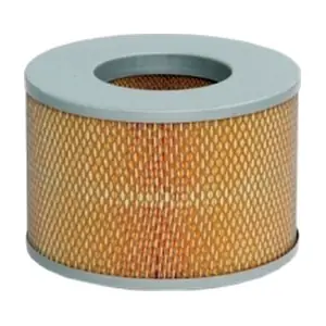 Fram-Au CA4818