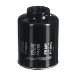 Fram-Au P4886