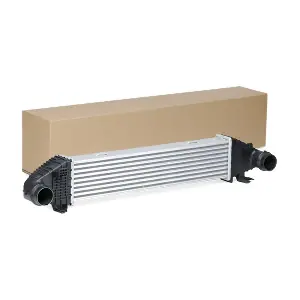 SKICC-0890086 Stark
