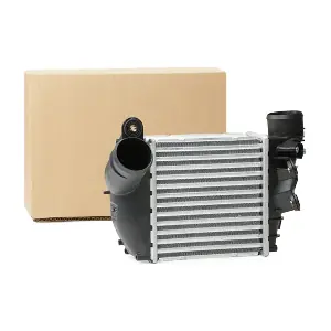 Stark SKICC-0890004