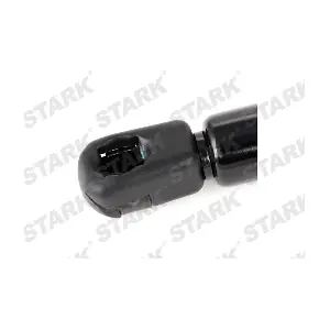 SKGS-0220328 Stark