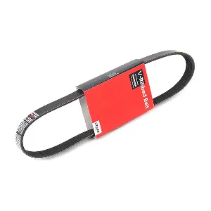 SK-6PK862 Stark
