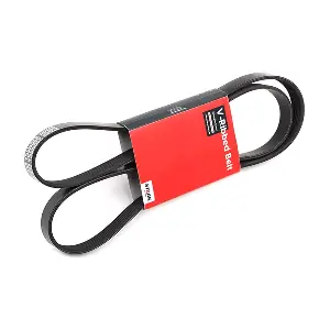 SK-6PK1613 Stark