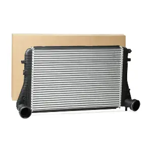 SKICC-0890001 Stark