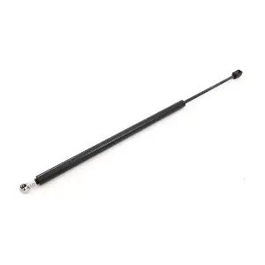 SKGS-0220244 Stark