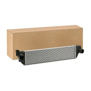 SKICC-0890073 Stark