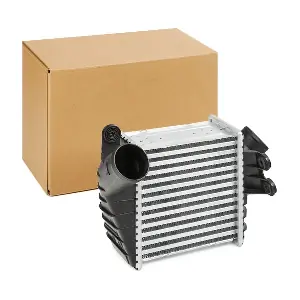 Stark SKICC-0890455