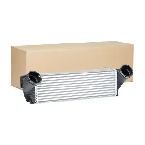 SKICC-0890076 Stark