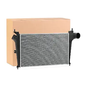 SKICC-0890072 Stark