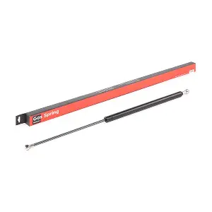 SKGS-0220291 Stark