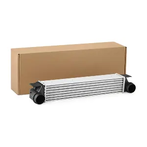 SKICC-0890066 Stark