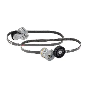 SKRBS-1200163 Stark