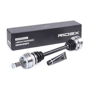 13D0193 RIDEX