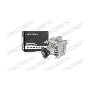 12H0025 RIDEX
