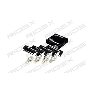 RIDEX 686S0069