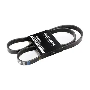 305P0036 RIDEX