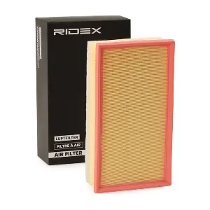 8A0668 RIDEX