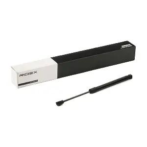 2454G0002 RIDEX