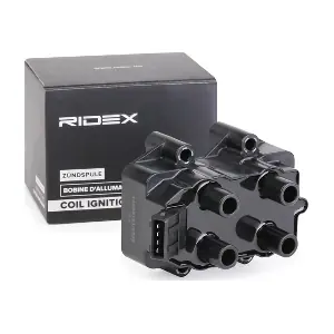 689C0300 RIDEX